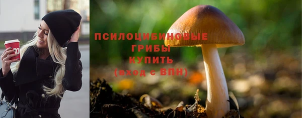 альфа пвп Осинники