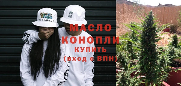 стаф Няндома