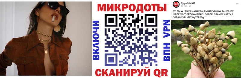 купить наркоту  Миллерово  Псилоцибиновые грибы прущие грибы 