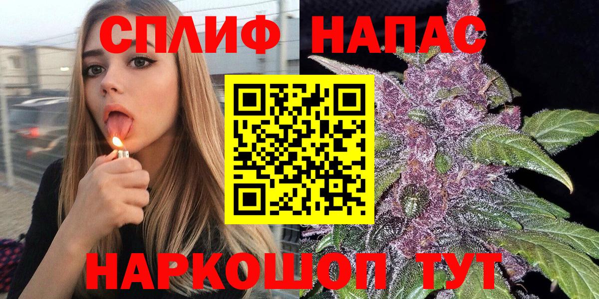 Каннабис сатива Миллерово